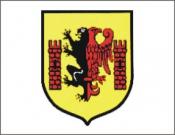 Akcja Fundacji Ziemia Dobrzyńska